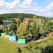 Jehličnany