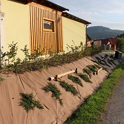 Ukázka - 45