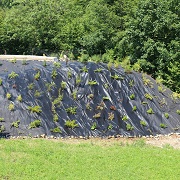 Ukázka - 69