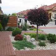 Ukázka - 29