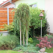 Ukázka - 30